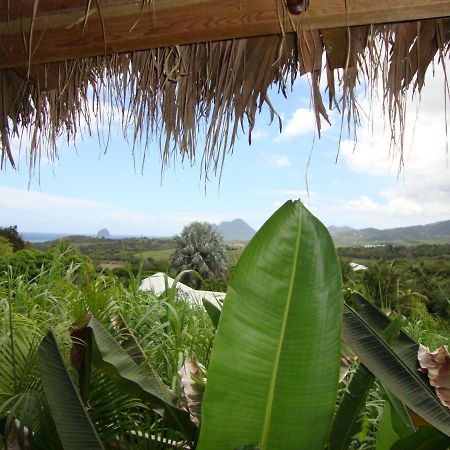 Eden Paradise Spa Ecolodge Sainte-Luce Extérieur photo